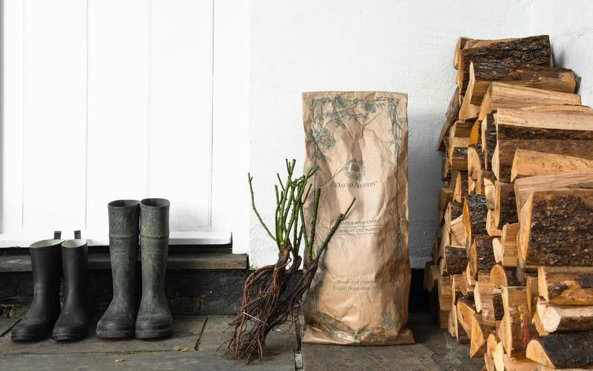 Slow Living And The Cortisol Connection