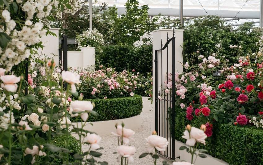 A Secret Garden at Chelsea: Our Most Personal Stand Yet