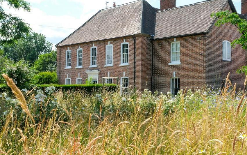 David Austin's house in Shropshire with rosa Kew Gardens in a meadow.