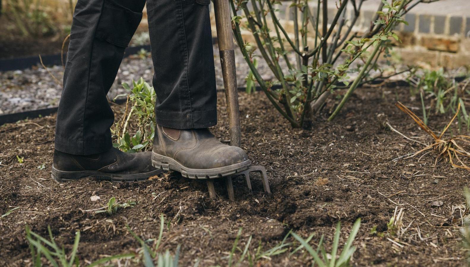 Woman's boot on top of a gardening fork in the ground
