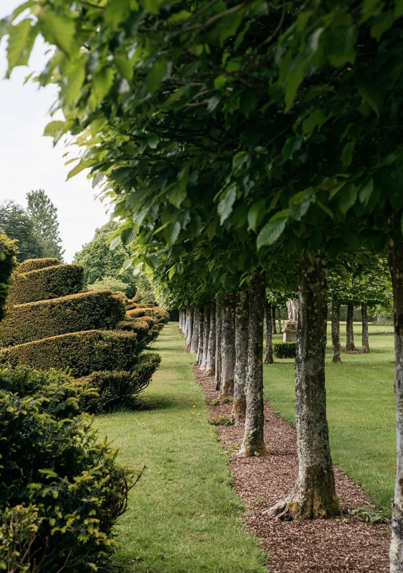 Garden shot of trees at highgrove