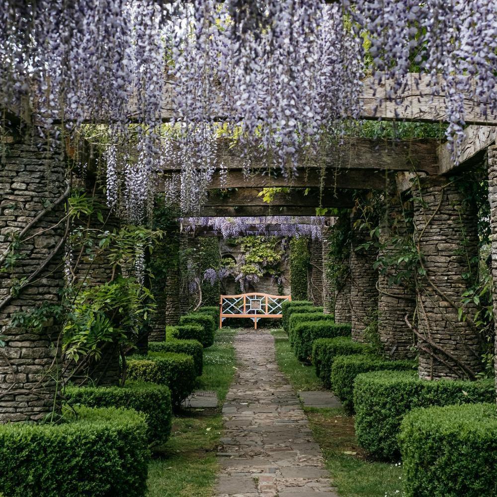 Bench at Highgrove gardens