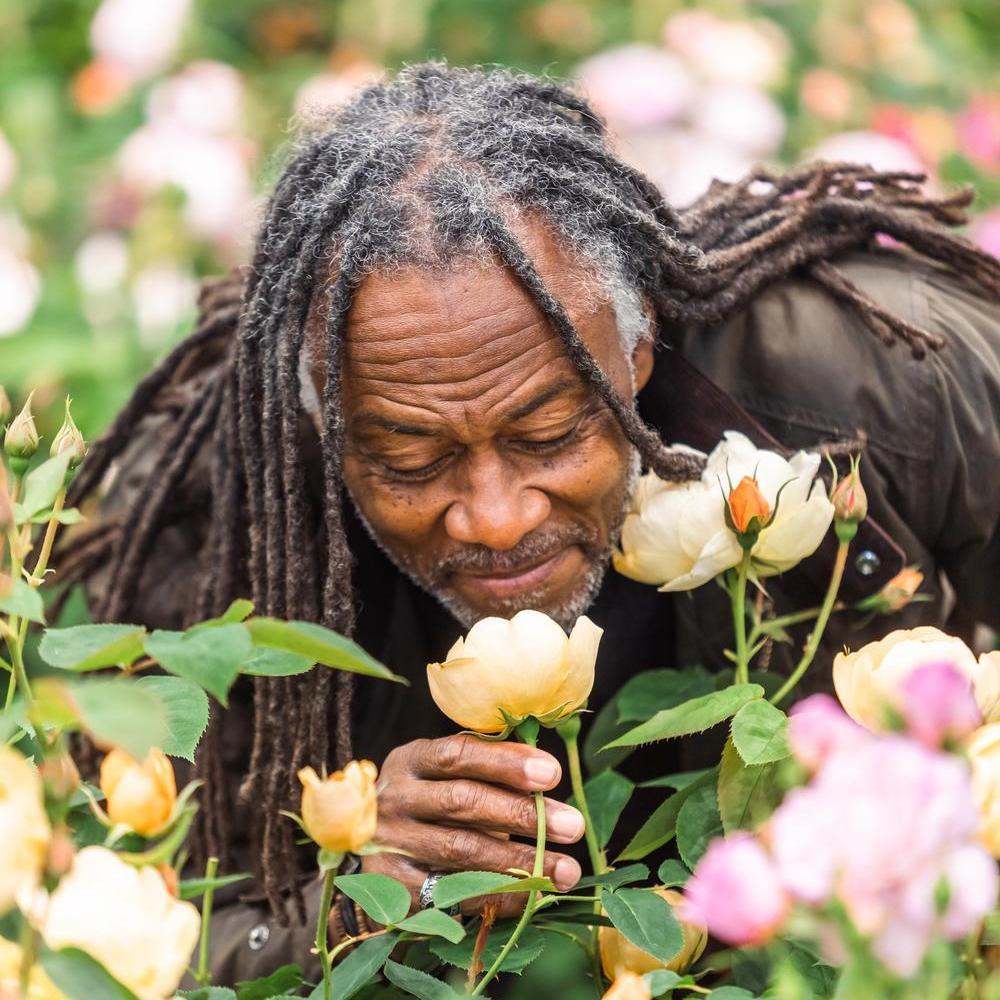 Image of British TV Gardening personality Danny Clarke smelling Rosa Dannahue, English rose bred by David Austin.