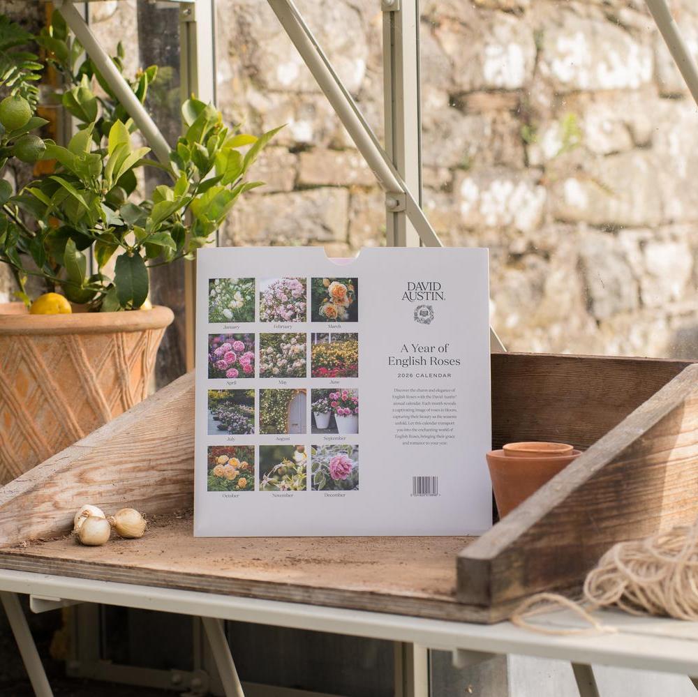 David Austin 2026 Wall Calendar