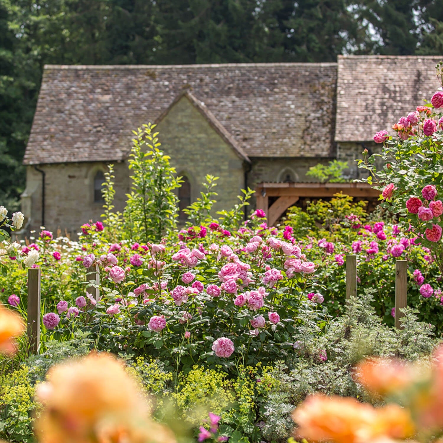 The Ancient Mariner™