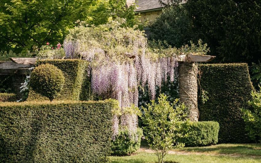 Highgrove Gardens: A Garden with Purpose and Poise