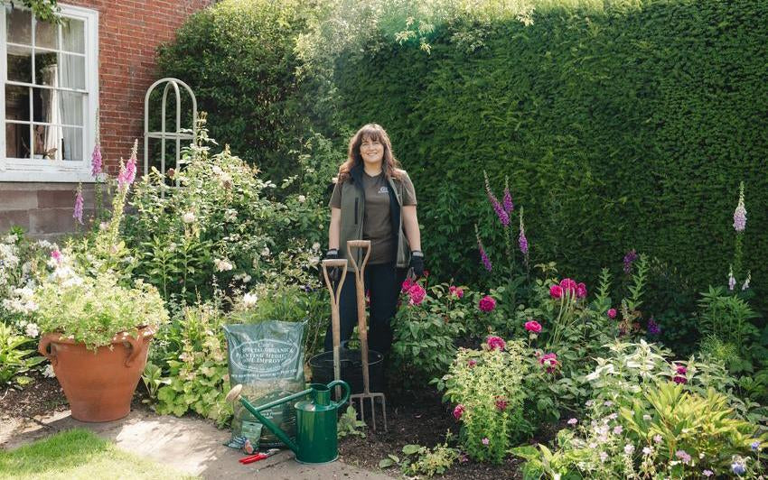 Moving a Rose: A Step-by-Step Guide
