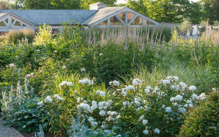 Pantone Colour of the Year 2026: Cloud Dancer, a Soft White Palette for the Moon Garden