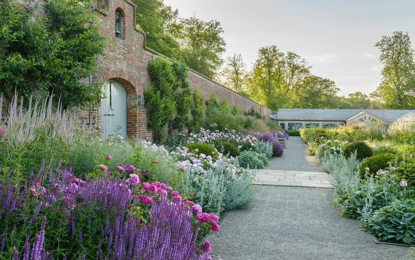 Using Colour in the Garden: Creating Mood and Harmony