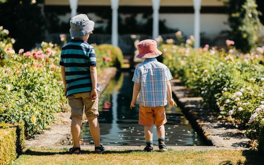 Two children looking out at a rose garden at David Austin
