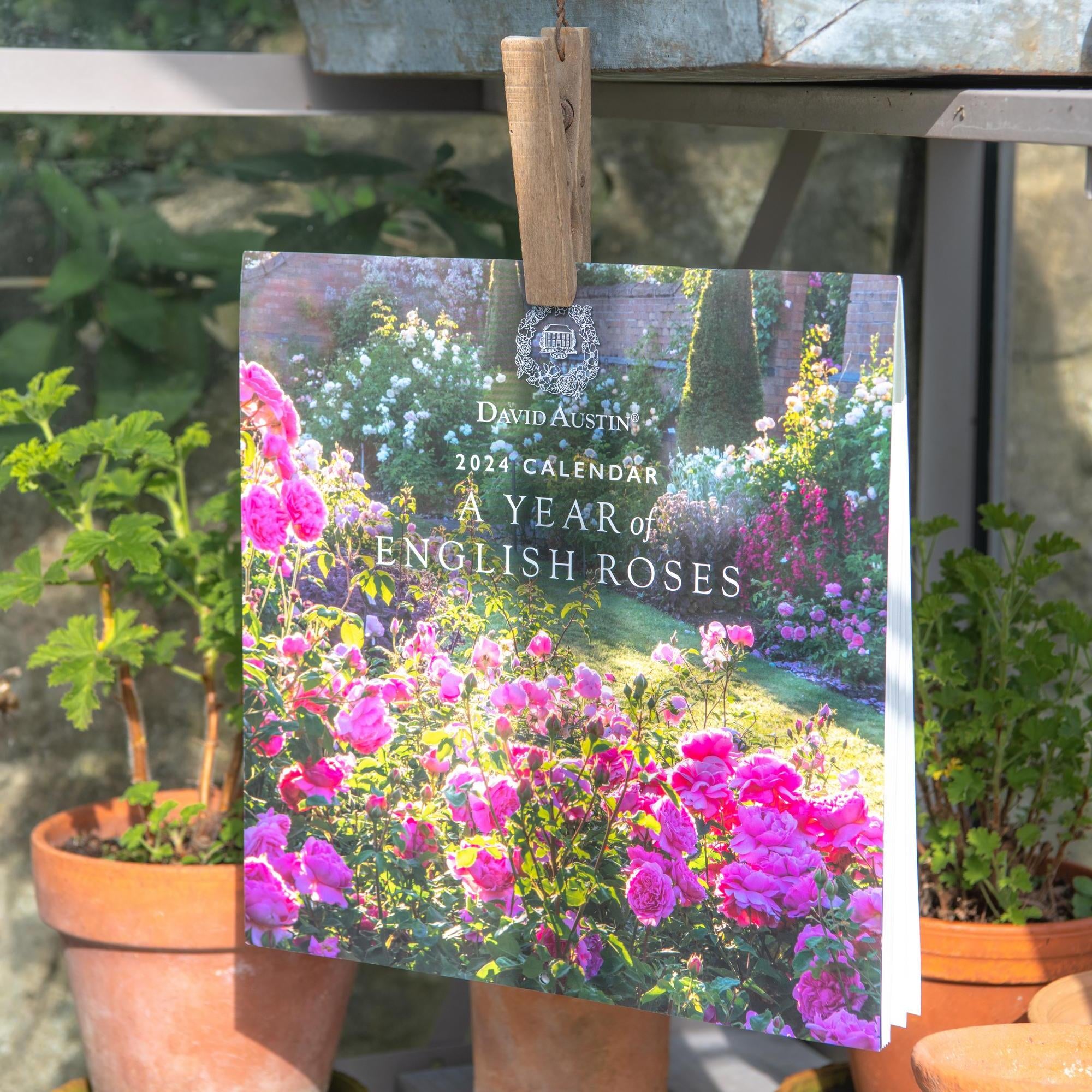 Gifts for Gardeners by David Austin David Austin Roses