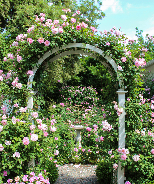 Straight Roses Arch Transform Gardens with Arches and Roses