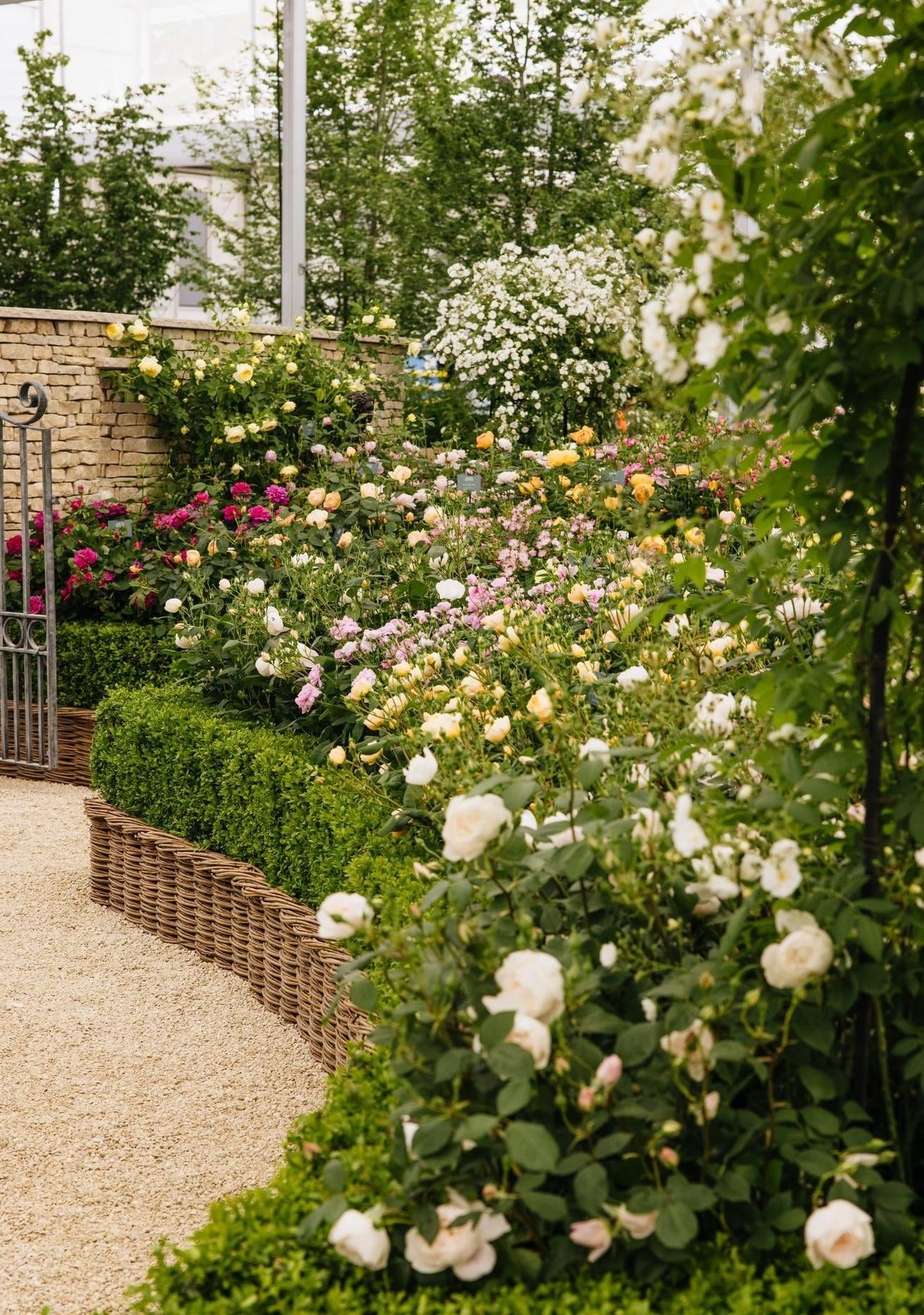 The Cotswold Garden at Chelsea | David Austin