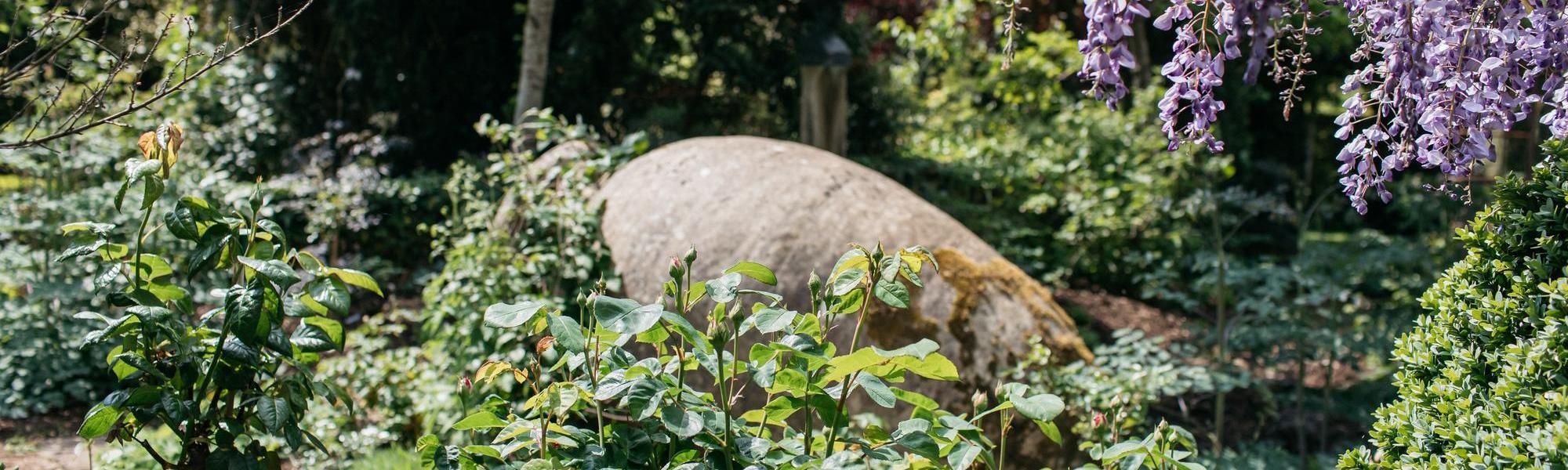 Garden shot with roses at highgrove