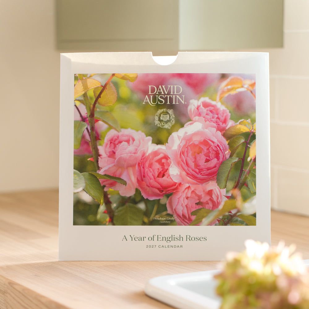 David Austin® 2027 Rose Wall Calendar