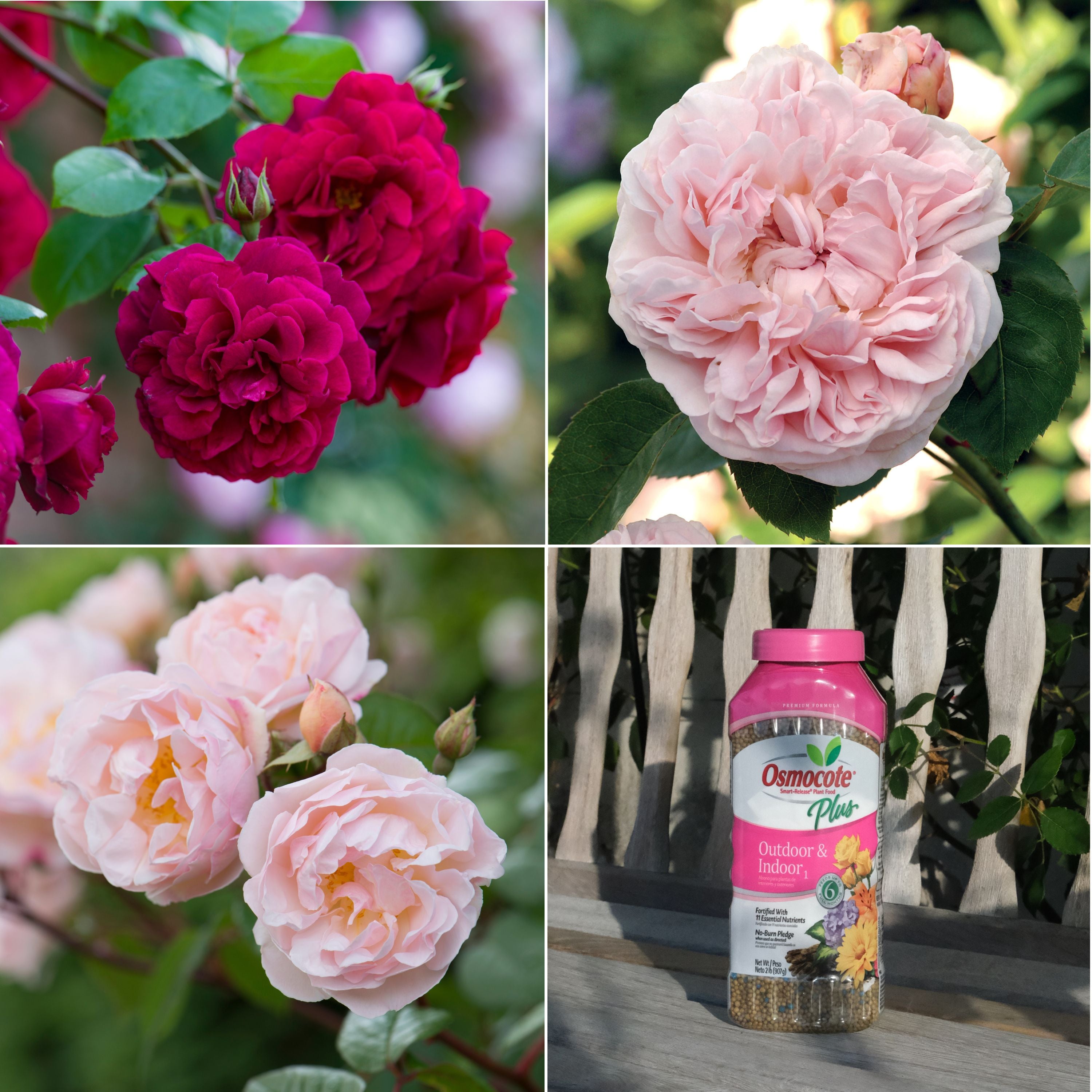 Timeless Romance Bundle