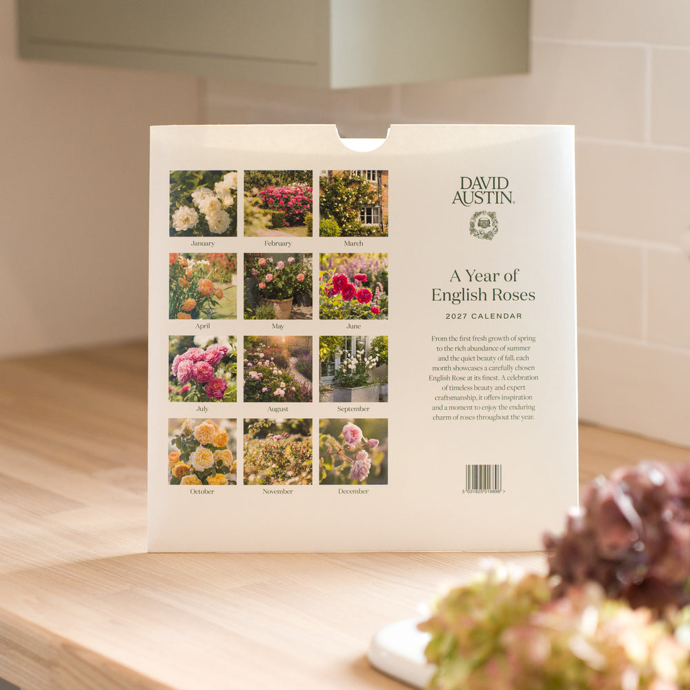 David Austin® 2027 Rose Wall Calendar