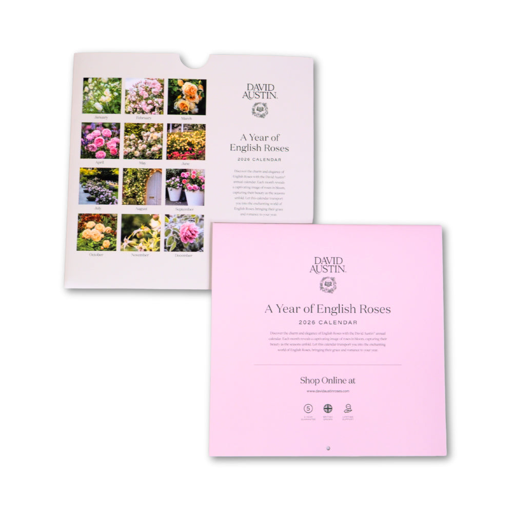 David Austin 2026 Wall Calendar