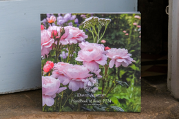 David Austin Roses - USA 2023 Handbook of Roses Cover