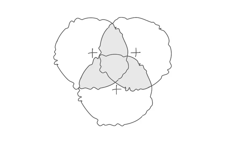 Spacing Roses A Guide to Rose Planting Distances | David Austin