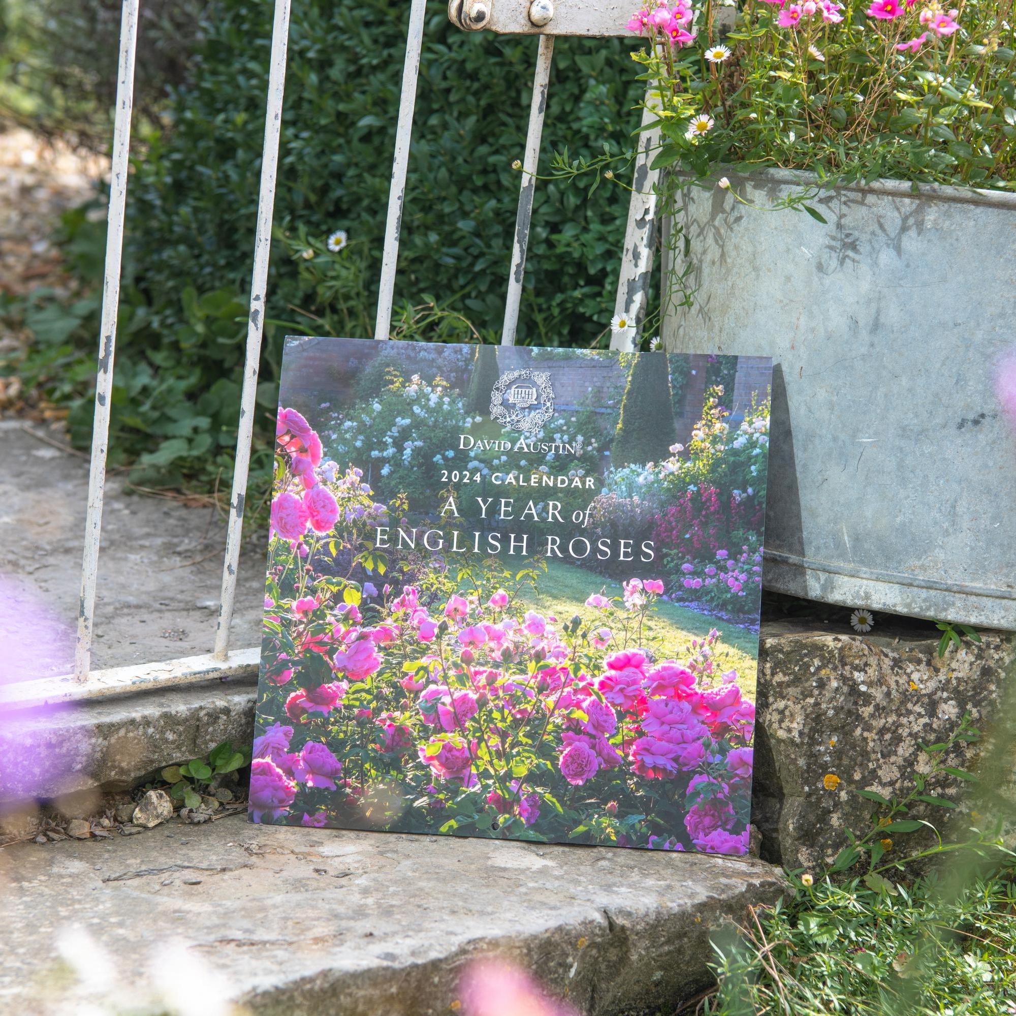 David Austin 2024 Wall Calendar Calendar Gifts