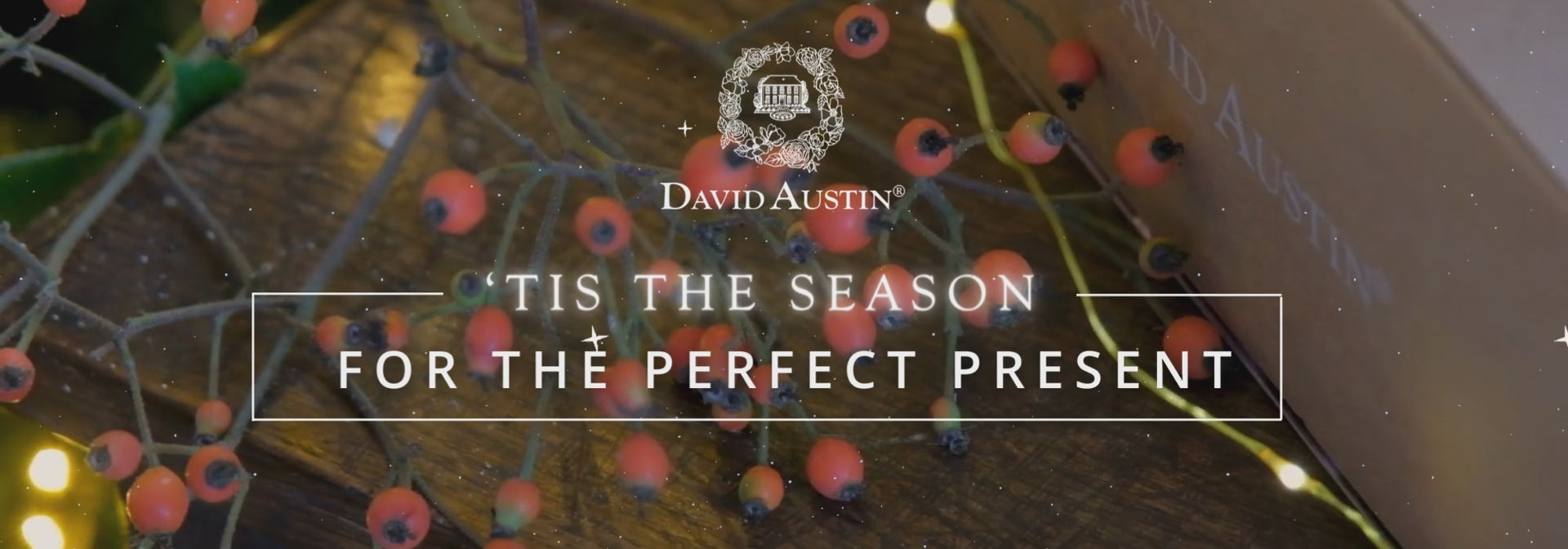 'tis the season for the perfect present - a video showing our calendar and gift cards surrounded by rose hips