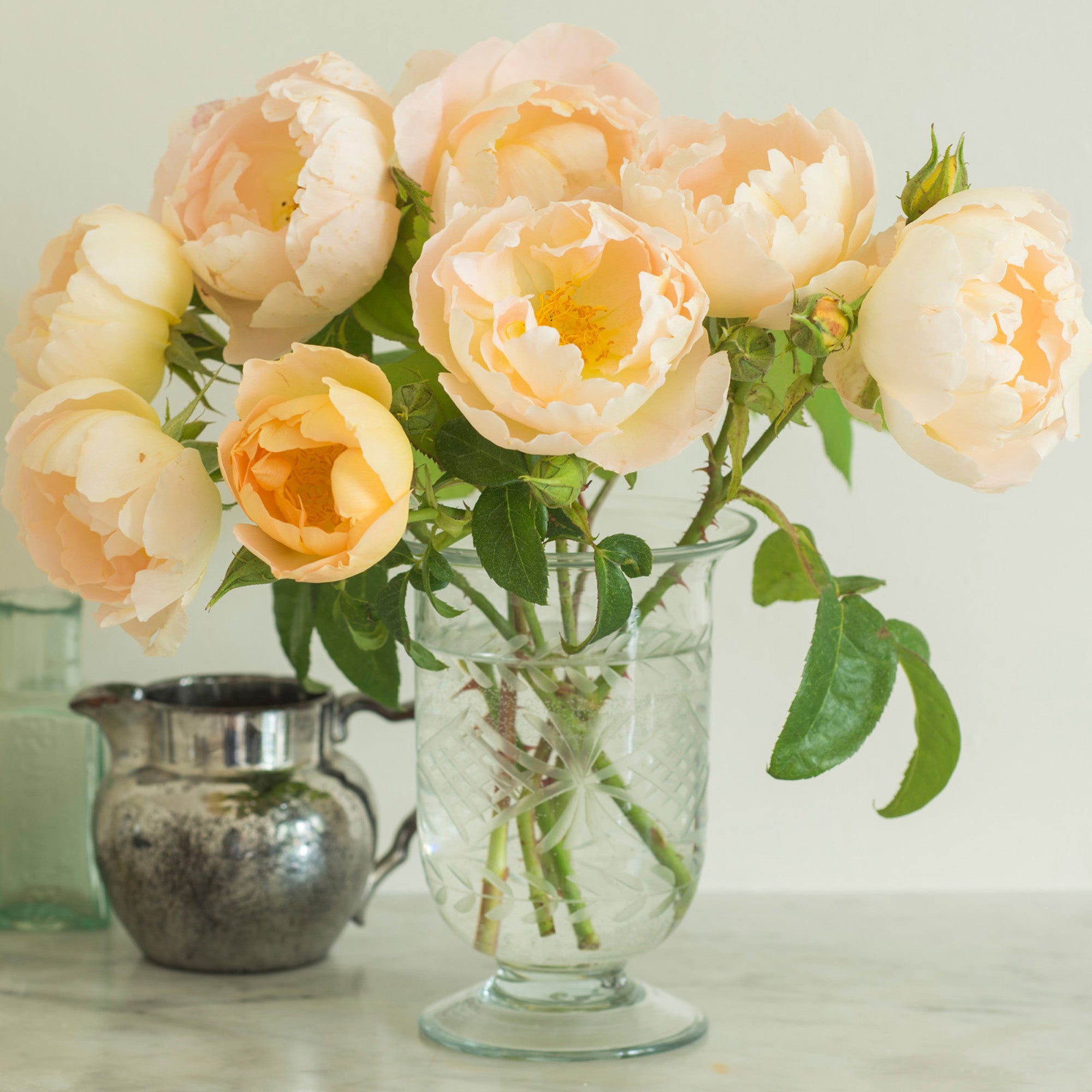 Comte de Champagne - Thumbnail 3