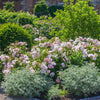 Scarborough Fair