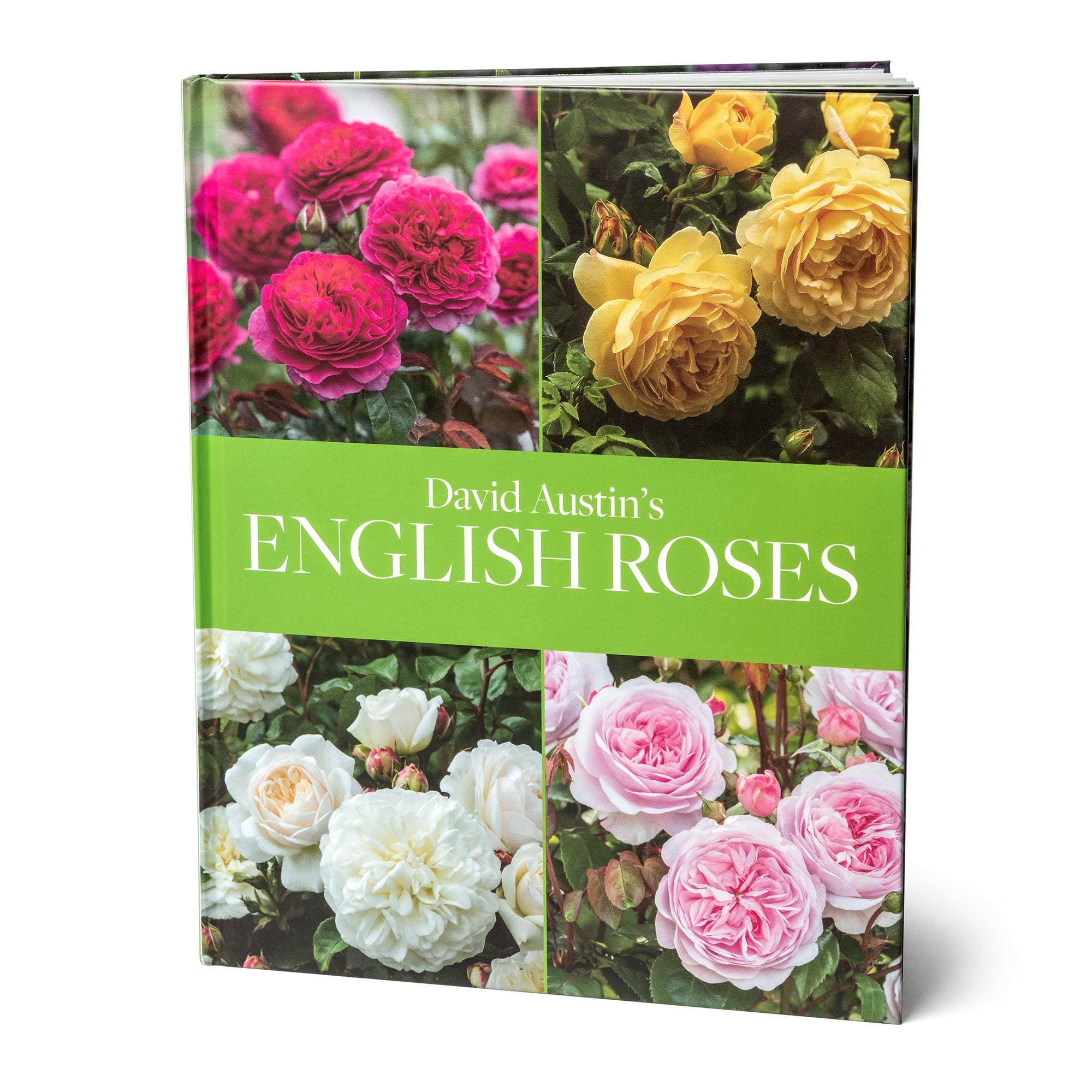 バラの大百科‼️ 英語版 THE ENGLISH ROSES David Austin's English Roses - Books - Gifts
