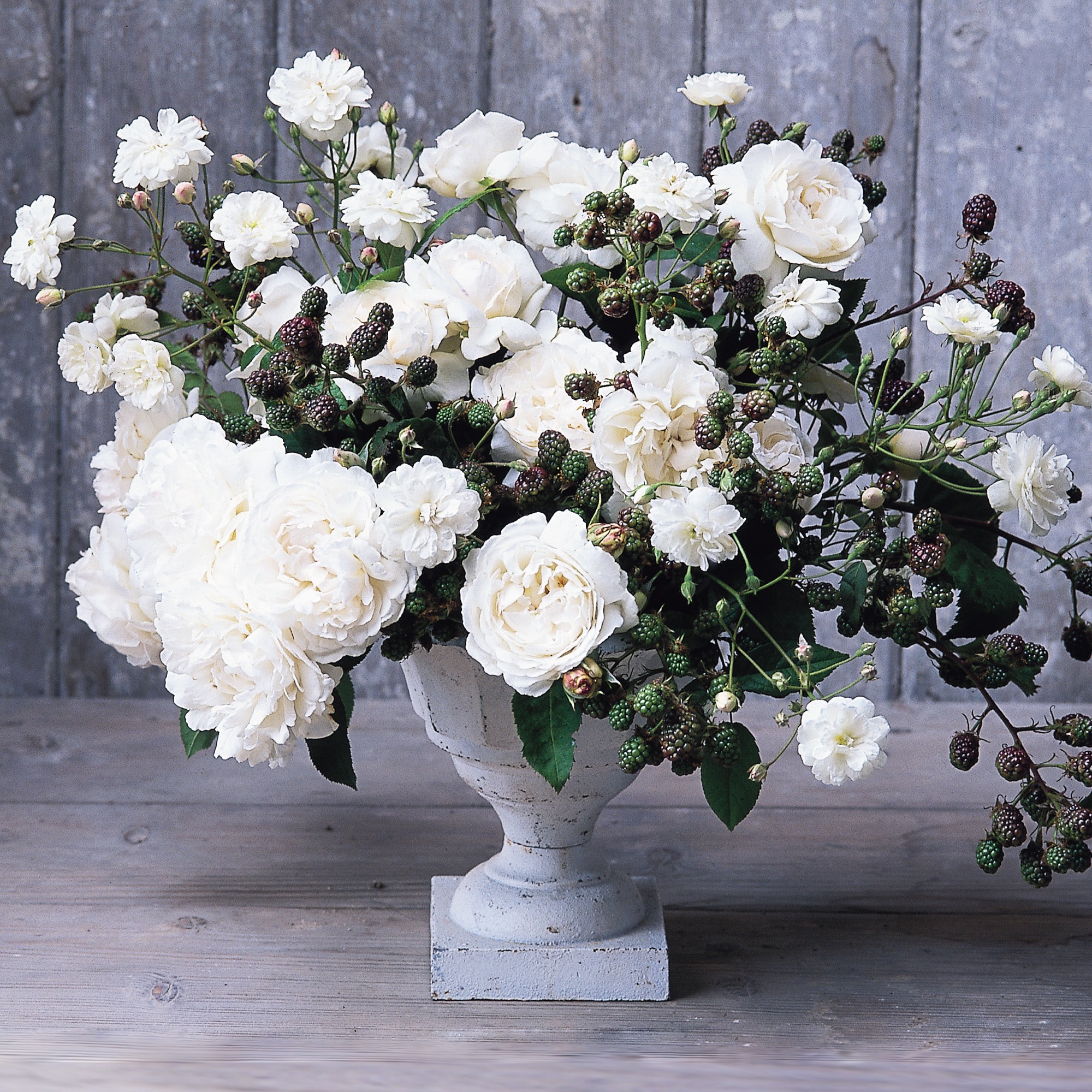 Winchester Cathedral - Thumbnail 3