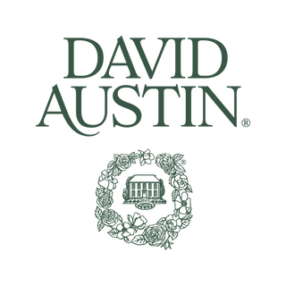 David Austin Roses - US